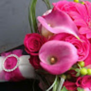 Meet your Posher, Darlene